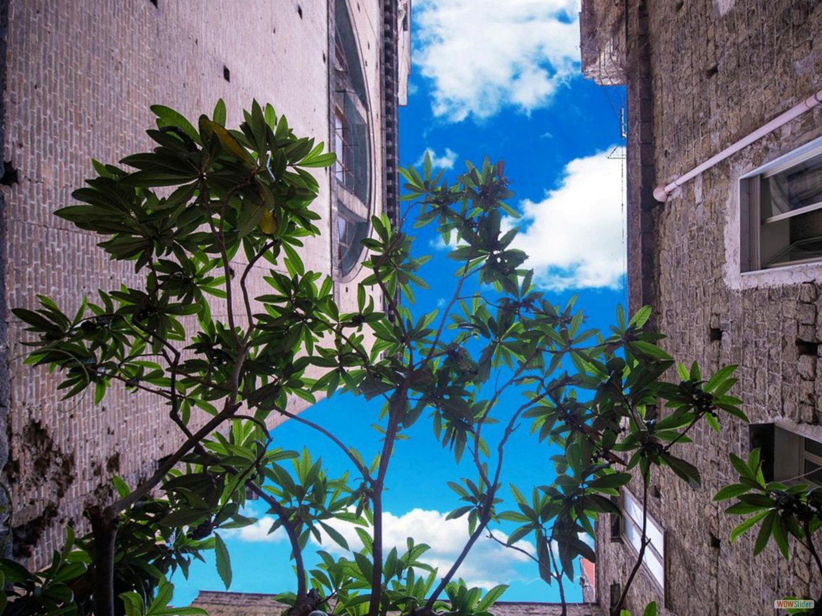 b&b centro storico Napoli 